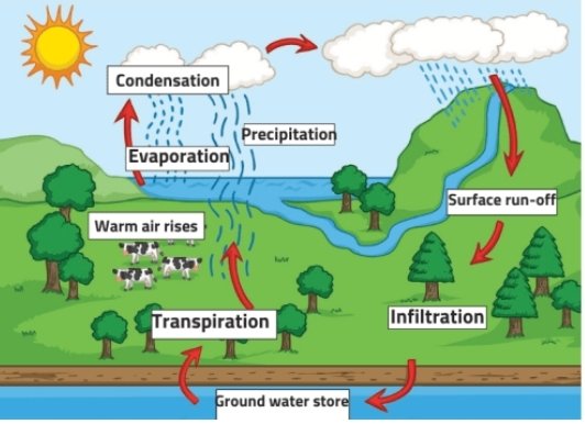 INTEGRATED SCIENCE (SHS 2)